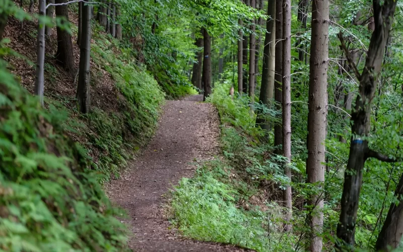 Hiking Experiences (Self-Guided) within the Property